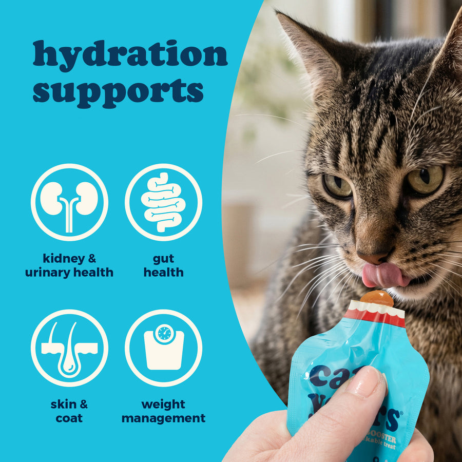 Hydration Booster