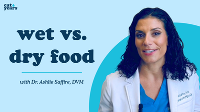 is wet food or dry food better for my cat?